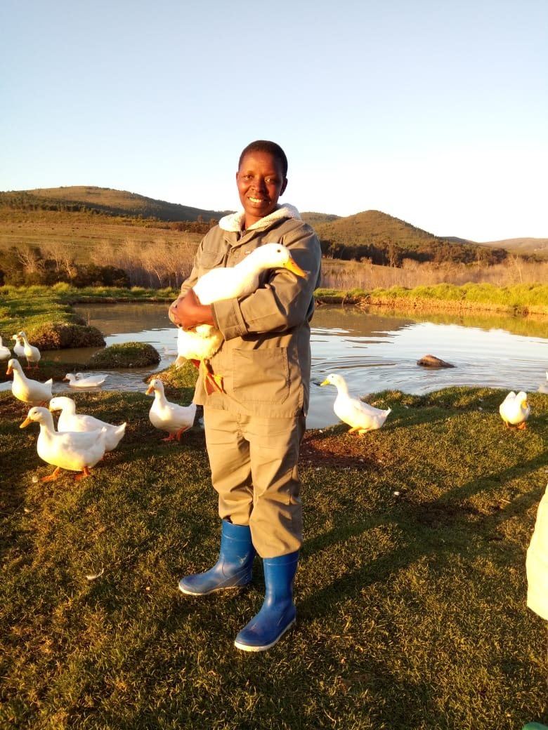 A farm team member holding a duck beside the pond at Landmeterskop near Stanford
