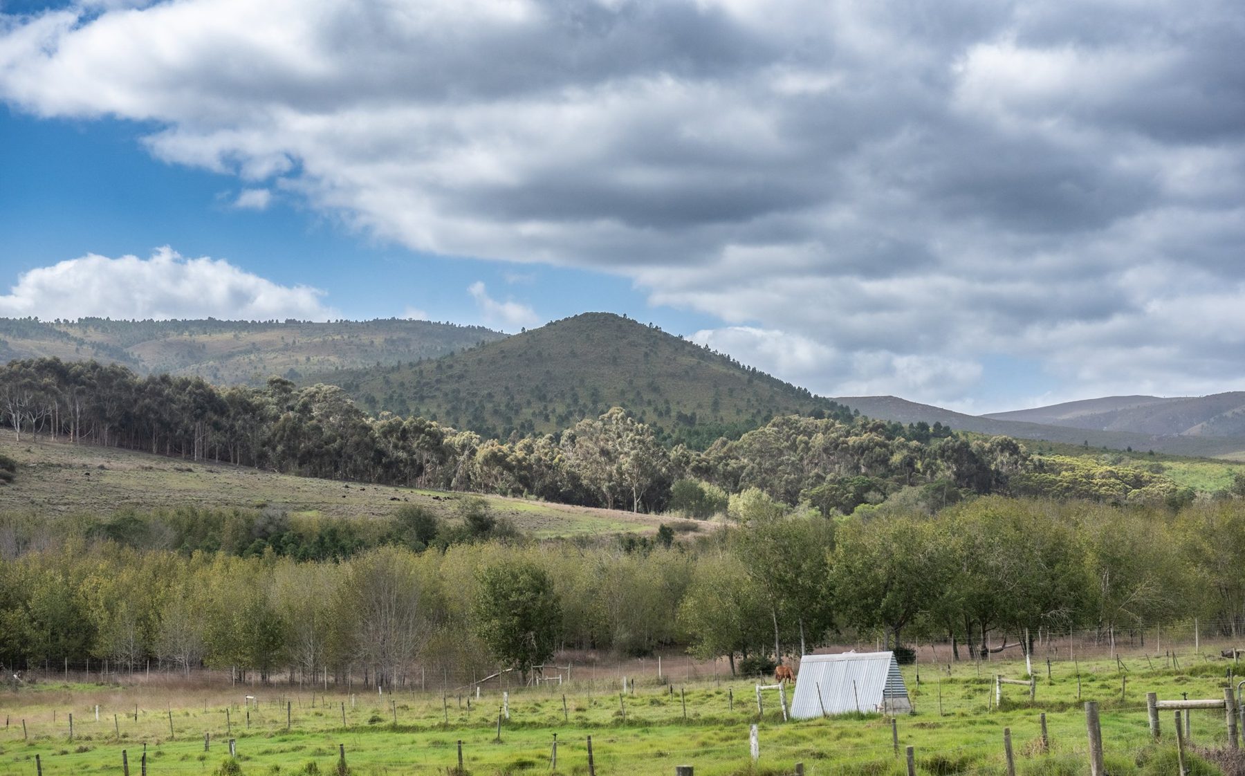 Duck Pond — mountain and pond landscape at Landmeterskop Farm Cottages