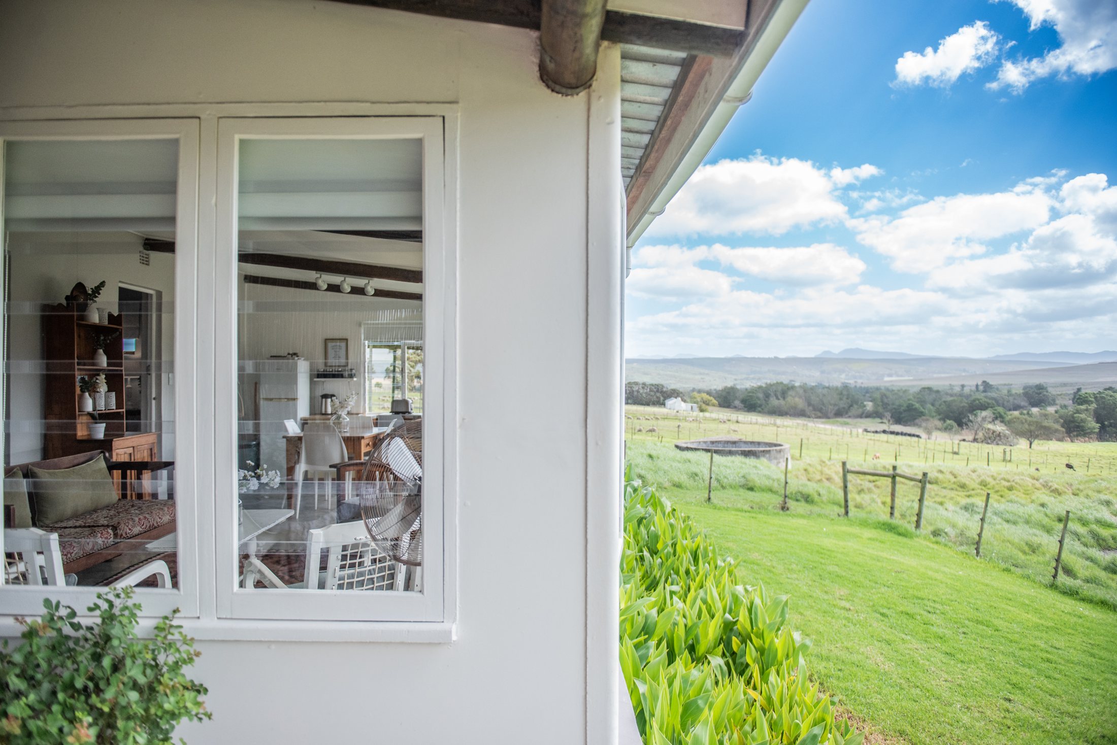 Duck Pond — interior looking toward the pond at Landmeterskop Farm Cottages