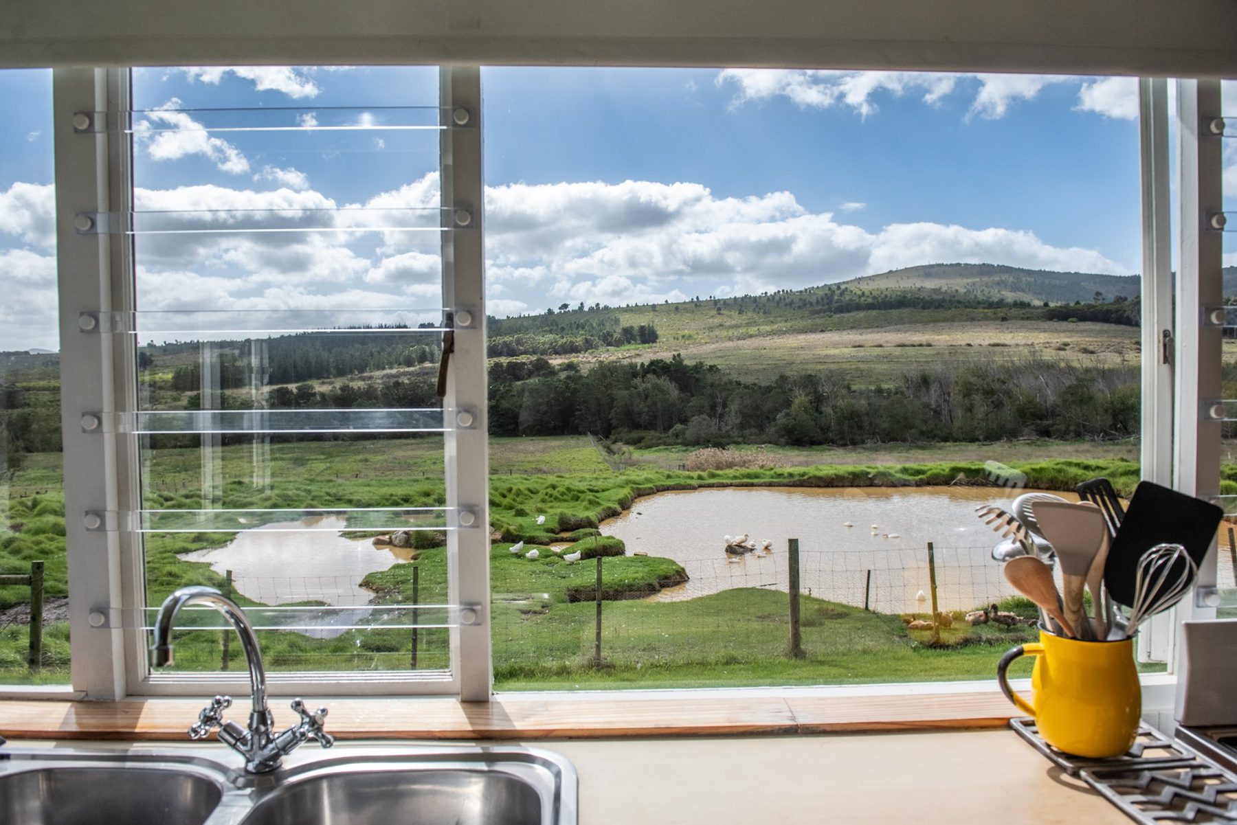 Duck Pond — pond view from the kitchen at Landmeterskop Farm Cottages