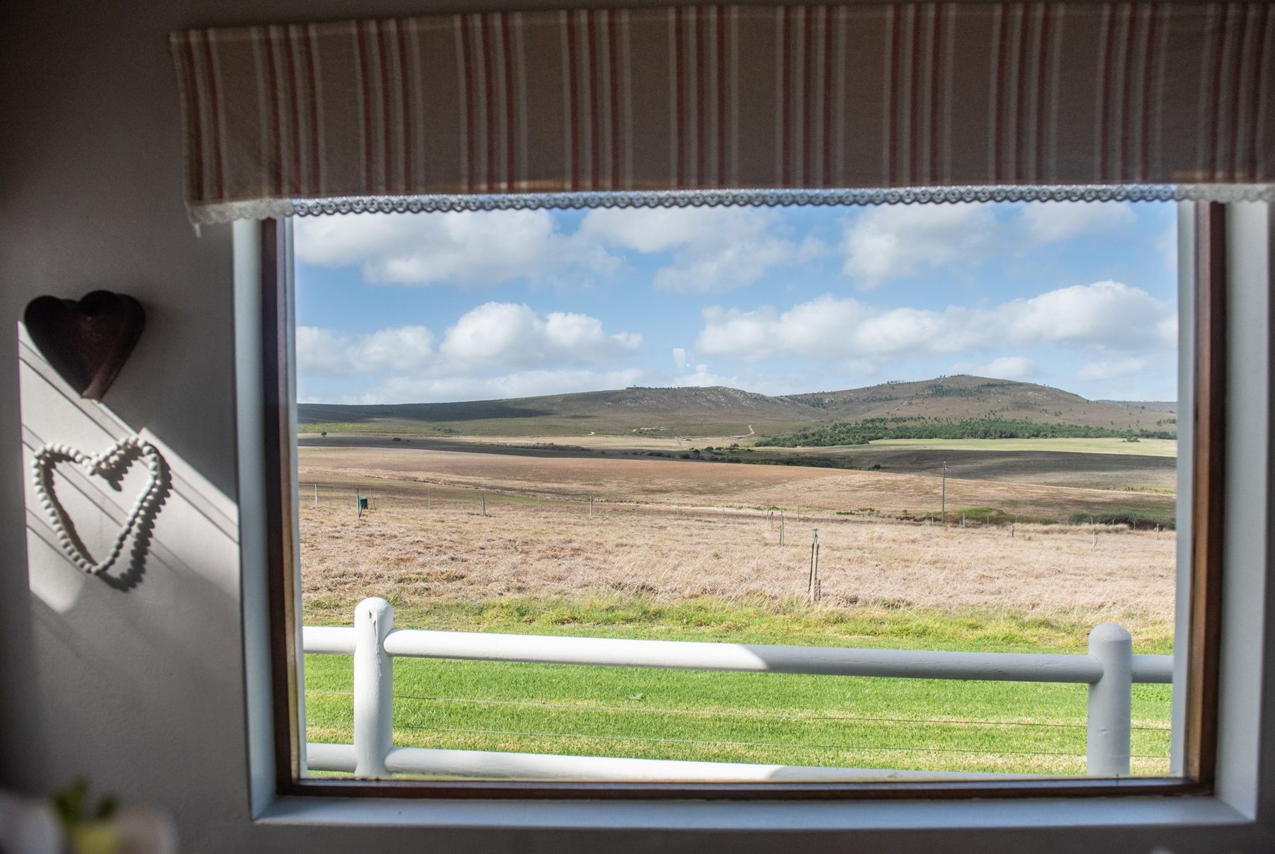Merino — farm view at Landmeterskop Farm Cottages